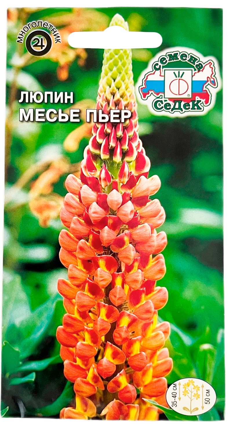 Семена_Люпин_Месье_Пьер_СЕДЕК