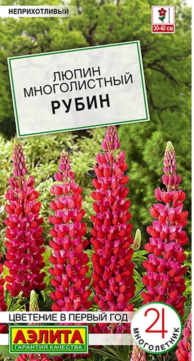 Семена_Люпин_Рубин_АЭЛИТА