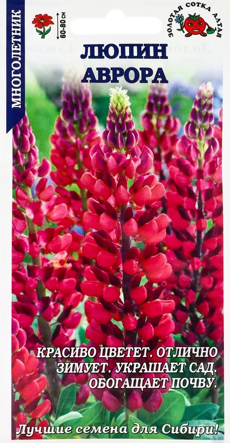 Семена_люпин_Аврора_ЗОЛОТАЯ_СОТКА_АЛТАЯ