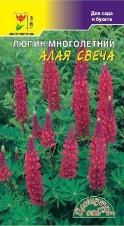 Семена_люпин_Алая_свеча_ЦВЕТУЩИЙ_САД