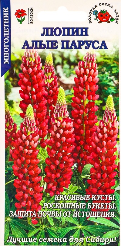 Семена_люпин_Алые_Паруса_ЗОЛОТАЯ_СОТКА_АЛТАЯ