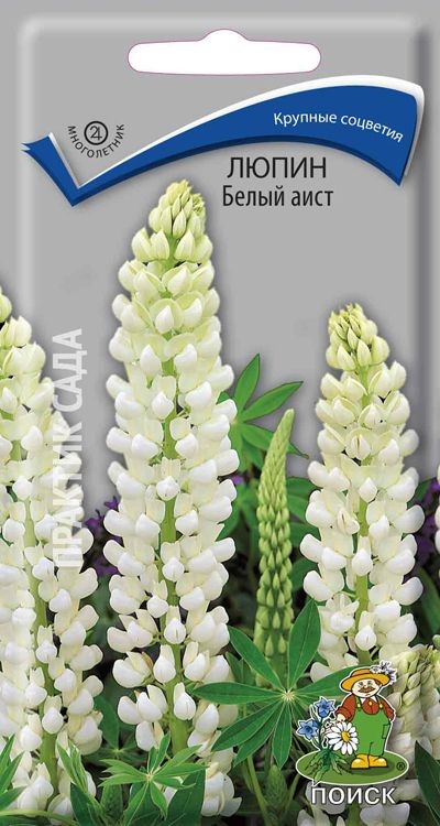 Семена_люпин_Белый_аист_ПОИСК