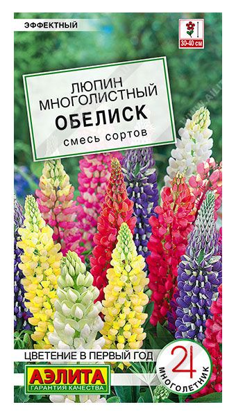 Семена_люпин_Обелиск_АЭЛИТА