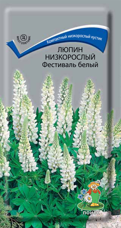 Семена_люпин_Фестиваль_белый_ПОИСК