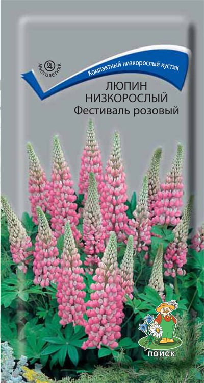 Семена_люпин_Фестиваль_розовый_ПОИСК