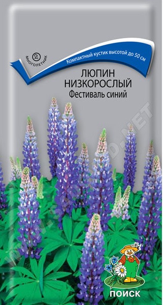 Семена_люпин_Фестиваль_синий_ПОИСК