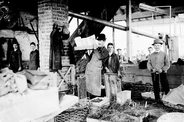 Питомник Арендс в первые годы. Вероятно, Георг в черном котелке