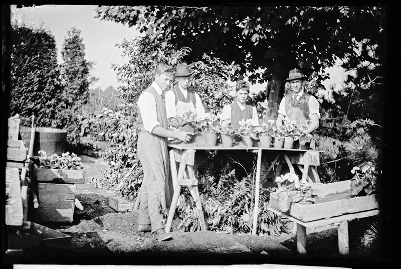 Садовники с горшками у пруда, 1920-е годы